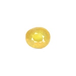Thailand Yellow Sapphire - 6.6 Carat - Pramogh