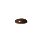 Tiger Eye - 4.03 Carat