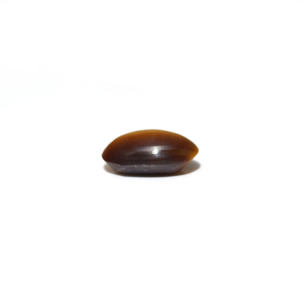 Tiger Eye - 2.8 Carat