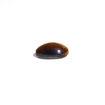 Tiger Eye - 4.5 Carat