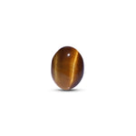 Tiger Eye - 8.1 Carat - Pramogh