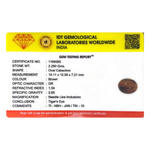 Tiger Eye - 11.45 Carat