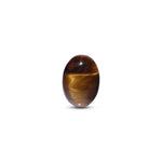 Tiger Eye - 8.4 Carat - Pramogh