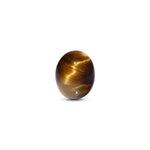 Tiger Eye - 7.8 Carat - Pramogh