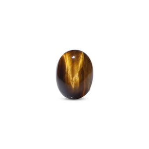 Tiger Eye - 8.5 Carat - Pramogh