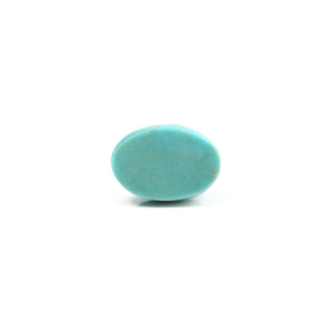 Turquoise - 4.82 Carat - Pramogh