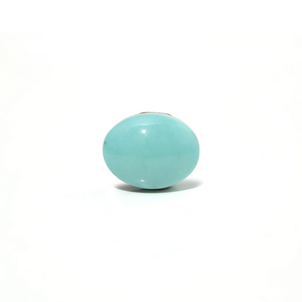 Turquoise - 6.87 Carat - Pramogh