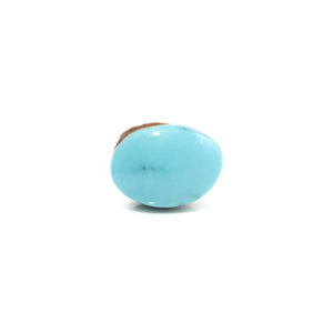 Turquoise - 6.73 Carat - Pramogh
