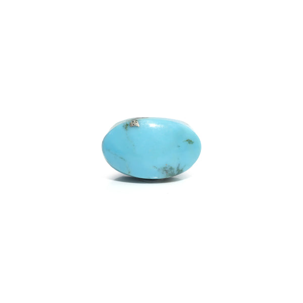 Turquoise - 5.4 Carat - Pramogh