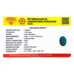 Turquoise - 6.64 Carat