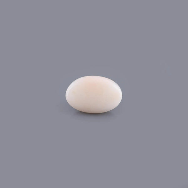 White Coral - 8.18 Carat