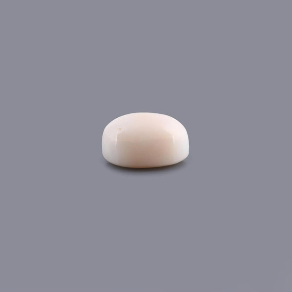 White Coral - 8.18 Carat