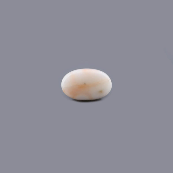 White Coral - 6.63 Carat