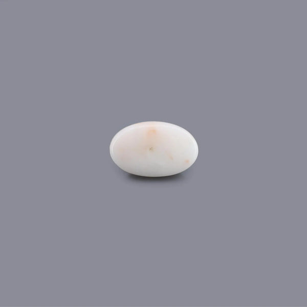 White Coral - 11.09 Carat