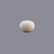 White Coral - 10.05 Carat - Pramogh