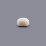 White Coral - 10.05 Carat - Pramogh