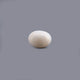 White Coral - 8.74 Carat - Pramogh