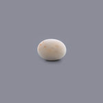 White Coral - 8.74 Carat - Pramogh
