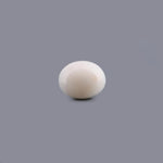 White Coral - 11.8 Carat - Pramogh