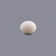 White Coral - 11.8 Carat - Pramogh