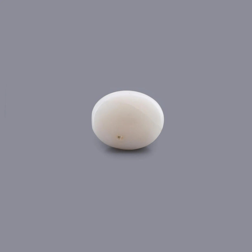 White Coral - 11.8 Carat - Pramogh