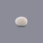 White Coral - 7.2 Carat - Pramogh