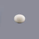 White Coral - 7.99 Carat - Pramogh