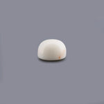 White Coral - 7.99 Carat - Pramogh