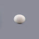 White Coral - 7.73 Carat - Pramogh
