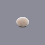 White Coral - 7.73 Carat - Pramogh