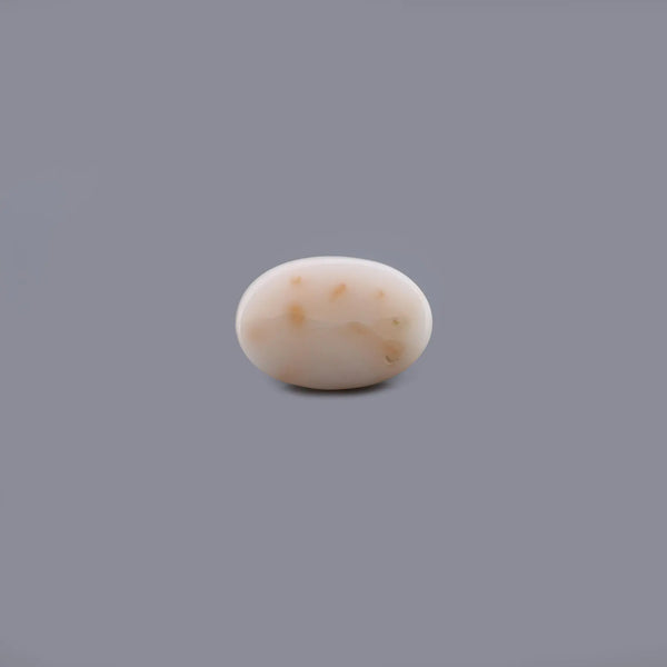 White Coral - 9.36 Carat