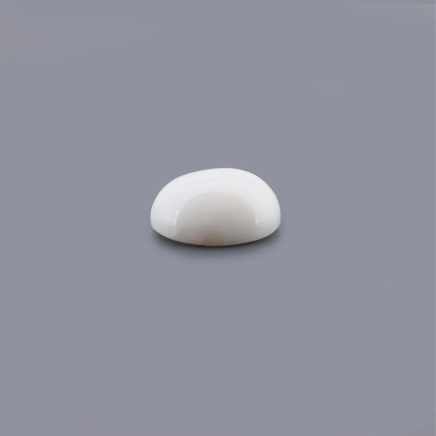 White Coral - 8.12 Carat - Pramogh