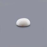 White Coral - 8.12 Carat - Pramogh
