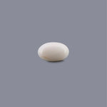 White Coral - 10.33 Carat - Pramogh