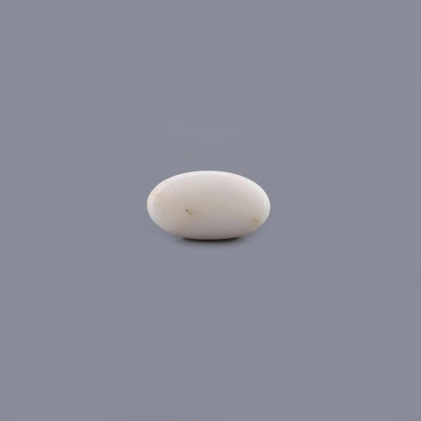 White Coral - 7.12 Carat