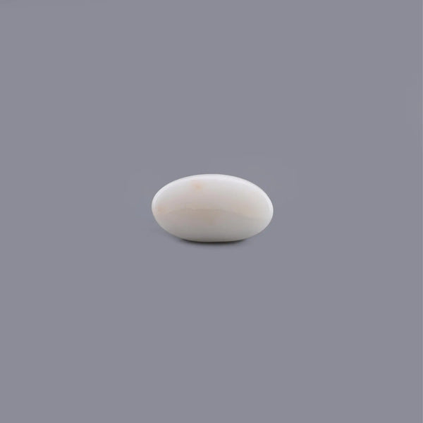 White Coral - 5.44 Carat