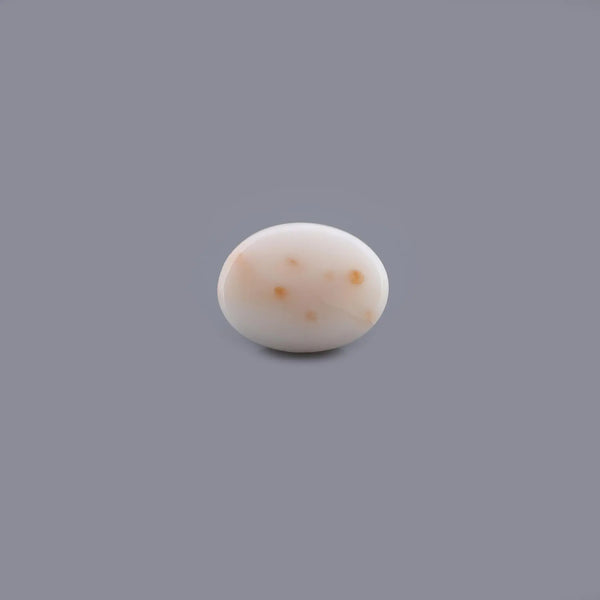 White Coral - 10.87 Carat