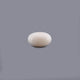 White Coral - 13.4 Carat - Pramogh