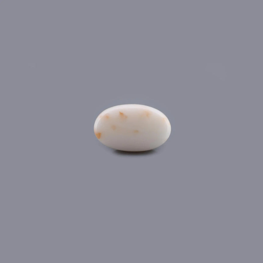 White Coral - 13.4 Carat - Pramogh