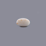 White Coral - 13.4 Carat - Pramogh