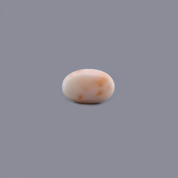 White Coral - 14.34 Carat