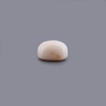 White Coral - 14.34 Carat - Pramogh