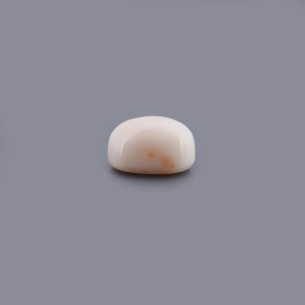 White Coral - 14.34 Carat