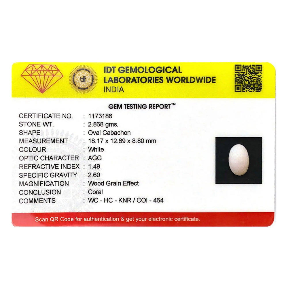 White Coral - 14.34 Carat - Pramogh