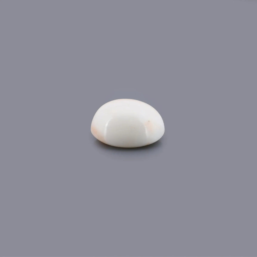 White Coral - 13.03 Carat - Pramogh