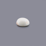 White Coral - 13.03 Carat - Pramogh