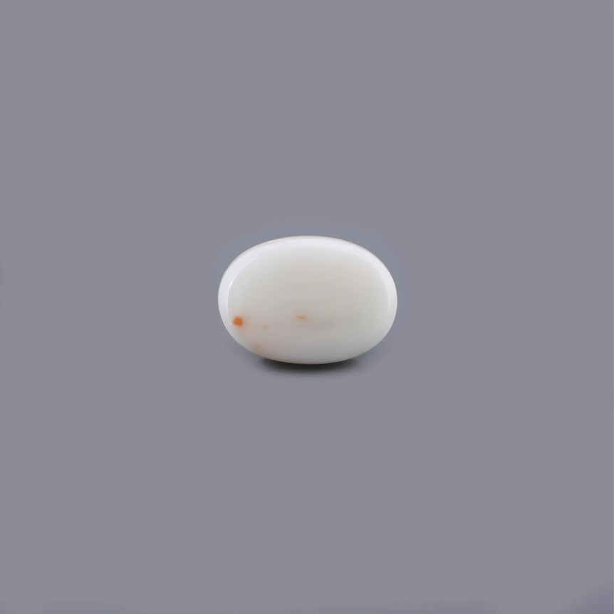 White Coral - 17.54 Carat - Pramogh
