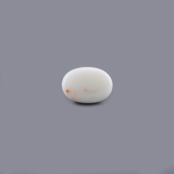 White Coral - 17.54 Carat