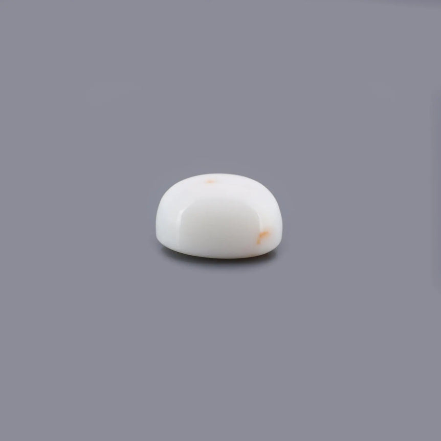 White Coral - 17.54 Carat - Pramogh