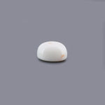 White Coral - 17.54 Carat - Pramogh